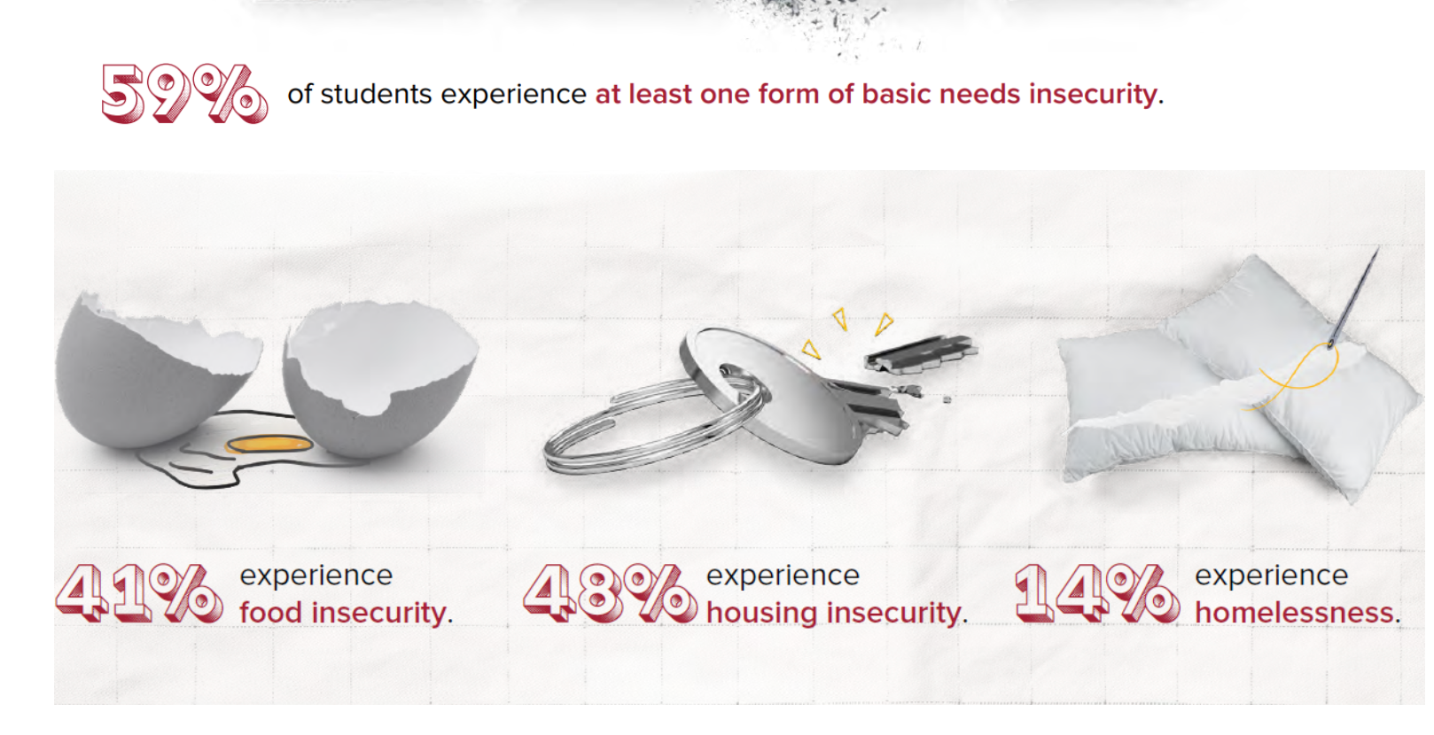 graphic showing 59% of students experience at least one form of basic needs insecurity. 41% experience food insecurity. 48% experience housing insecurity. 14% experience homelessness