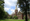 red brick college building with tall white tower